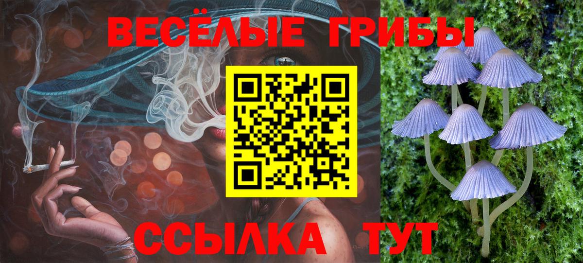 Псилоцибиновые грибы Psilocybe  Галлюциногенные грибы мухоморы  Архангельск  Вход с VPN 