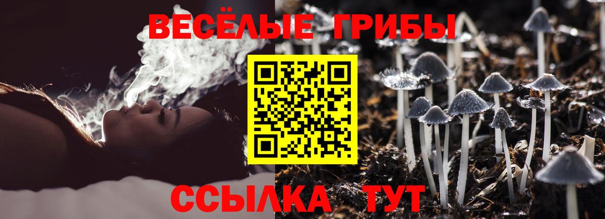 Псилоцибиновые грибы мухоморы Архангельск